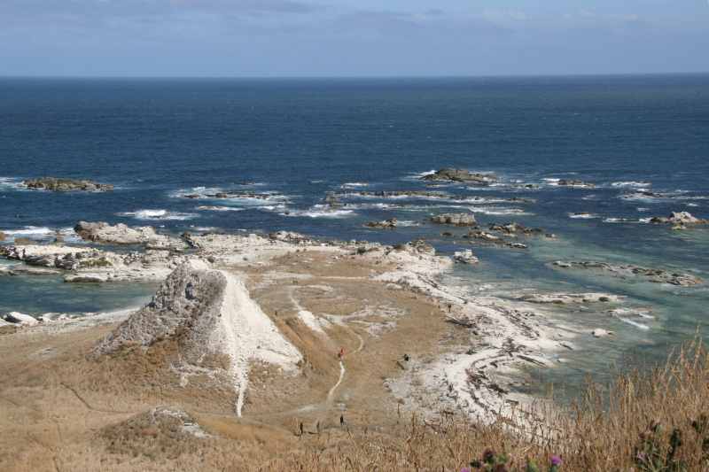 Nieuw-Zeeland 2011 - 1151